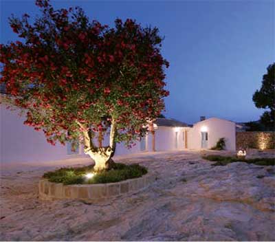 albero